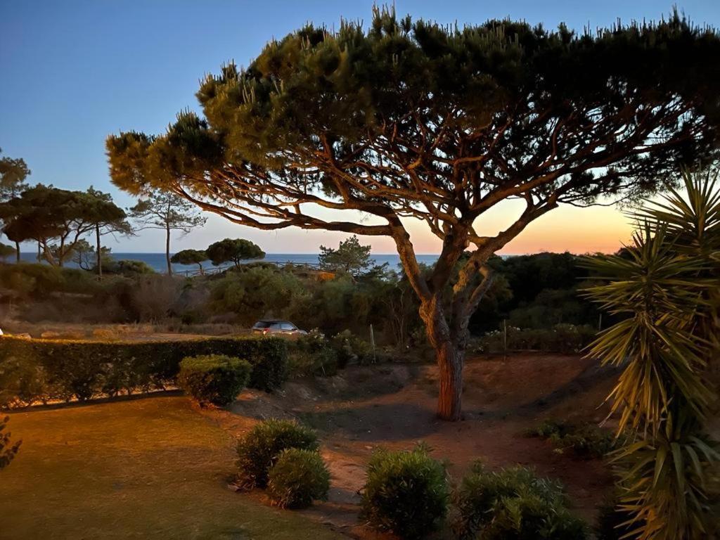 Praia da Falésia Alfa Mar Albufeira Olhos de Agua  Exterior foto
