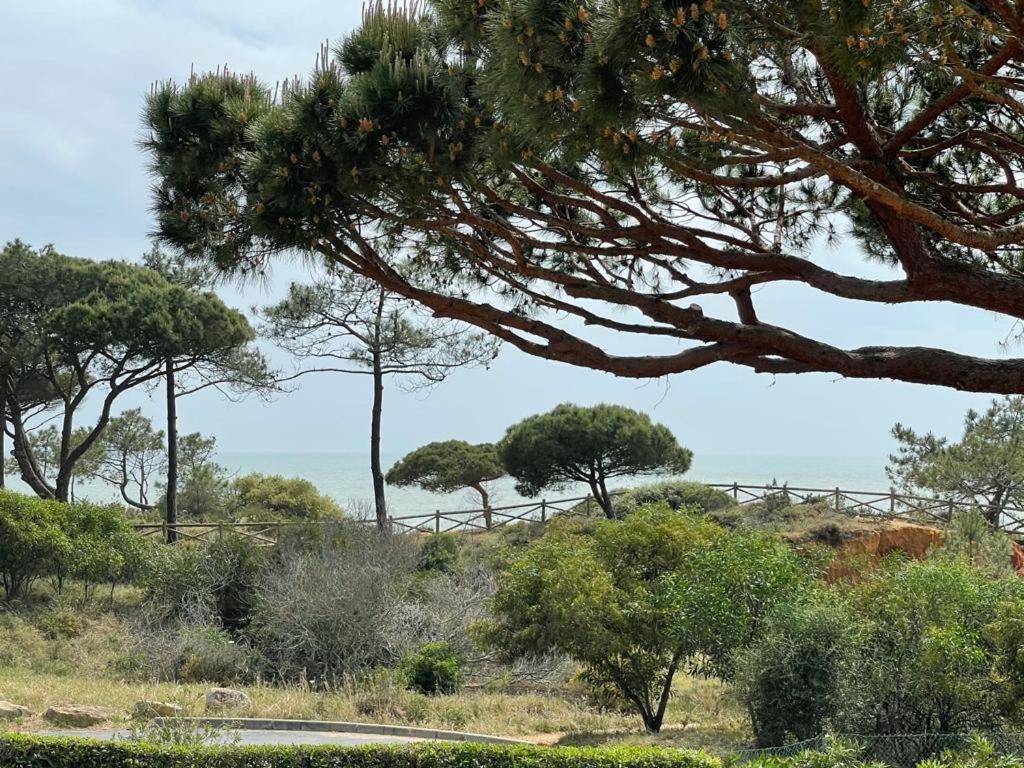 Praia da Falésia Alfa Mar Albufeira Olhos de Agua  Exterior foto